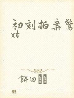 初刻拍案惊奇txt