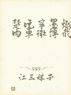 楚晚宁墨燃所有肉车微博截图