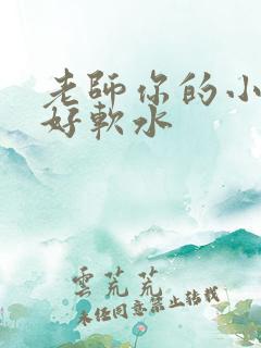 老师你的小兔子好软水