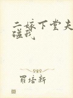 二嫁下堂夫君别碰我