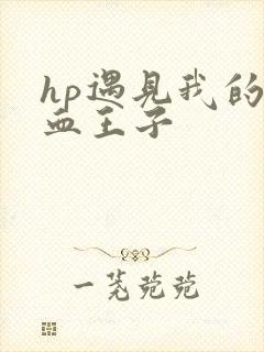 hp遇见我的混血王子