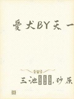 爱犬BY天一