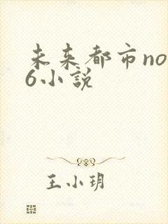 未来都市no.6小说