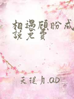 相遇顾盼成欢小说免费