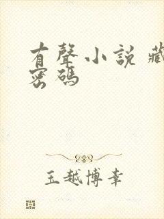 有声小说 藏地密码