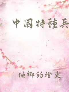 中国特种兵小说