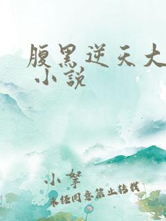 腹黑逆天大小姐 小说