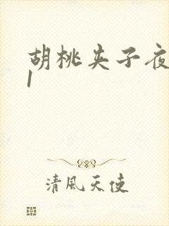 胡桃夹子夜未眠1