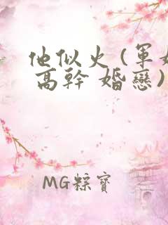 他似火 (军婚 高干 婚恋)