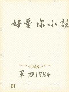 好爱你小说