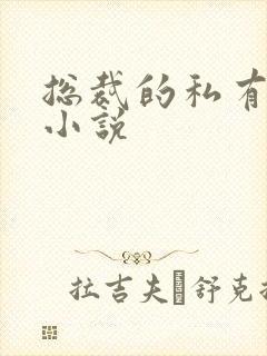 总裁的私有宝贝小说