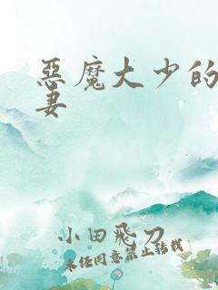 恶魔大少的小鲜妻