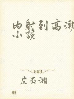 内射到高潮的H小说