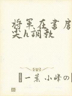 将军在书房含乳尖h调教