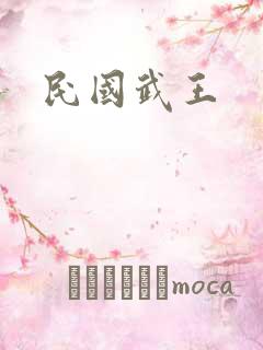 民国武王