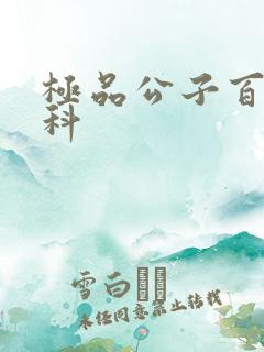 极品公子百度百科