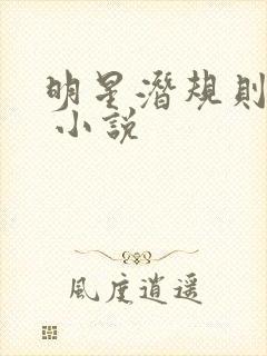 明星潜规则之皇 小说