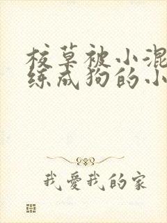 校草被小混混训练成狗的小说