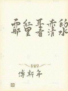 面红耳赤的小说哪里看清水村花