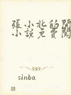 张小北的开光师小说免费阅读怎么没有276章