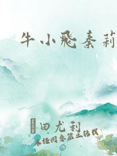 牛小飞秦莉莉