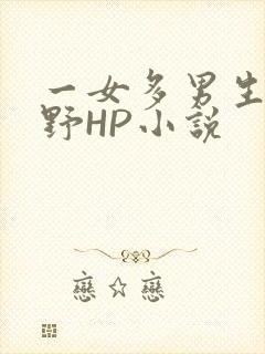 一女多男生活狂野HP小说