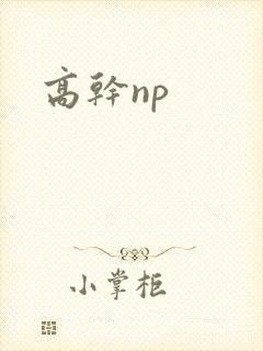 高干np