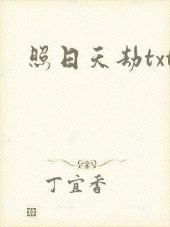 照日天劫txt
