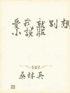 爱我就别想太多小说版