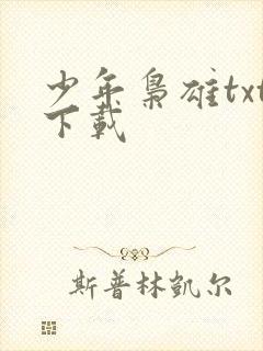 少年枭雄txt下载