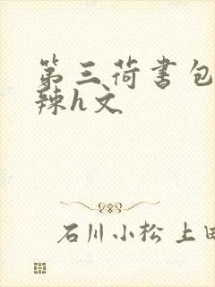 第三荷书包网高辣h文