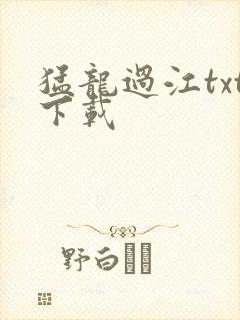 猛龙过江txt下载