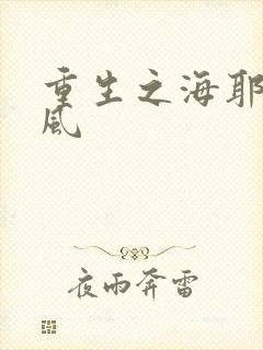 重生之海耶斯旋风