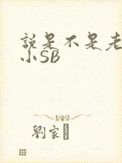 说是不是老公的小SB