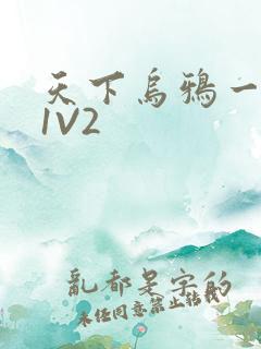 天下乌鸦一般黑1V2