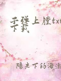 子弹上膛txt下载