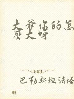 大爷你的怎么这么大呀