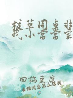 校草同桌非要撩我小当当家