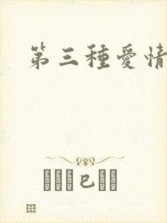 第三种爱情番外