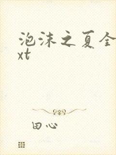 泡沫之夏全集txt