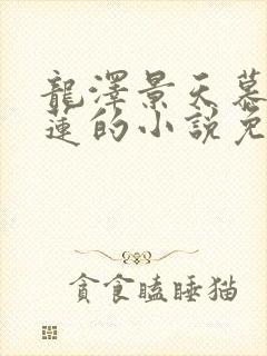 龙泽景天慕容青莲的小说免费阅读