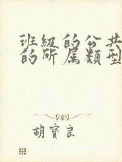 班级的公共小0的所属类型