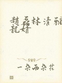 赵磊林清雅上门龙婿