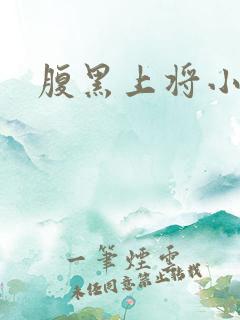 腹黑上将小小妻