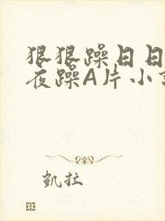 狠狠躁日日躁夜夜躁A片小说