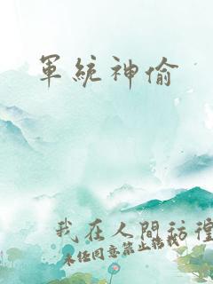 军统神偷