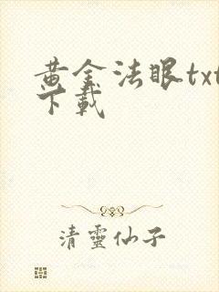 黄金法眼txt下载