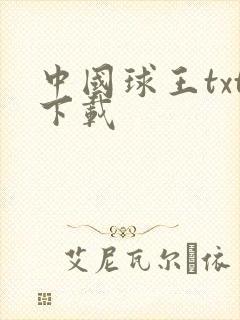 中国球王txt下载