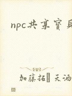 npc共享宝贝