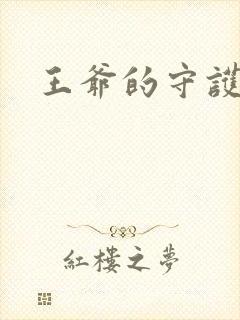 王爷的守护男妃